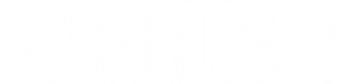Brace